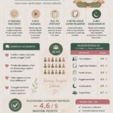 Ítéleteink befogadása -meditáció hossza: 40 perc